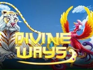 Divine Ways game cover